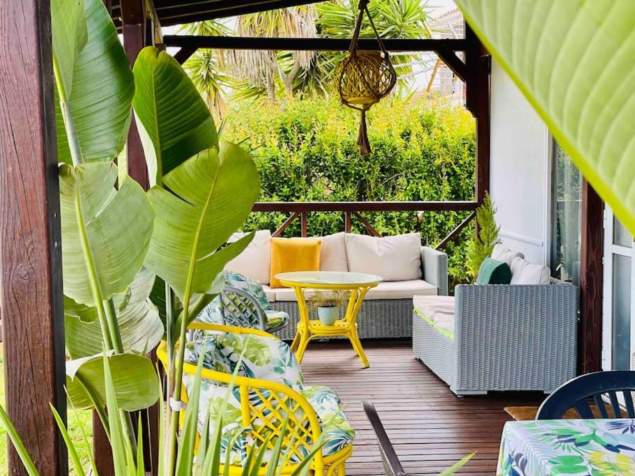 Zahrada ubytování Alquiler de casa Vacacional