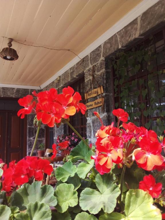 un montón de flores rojas delante de un edificio en Holiday Home Ruben en Odzun