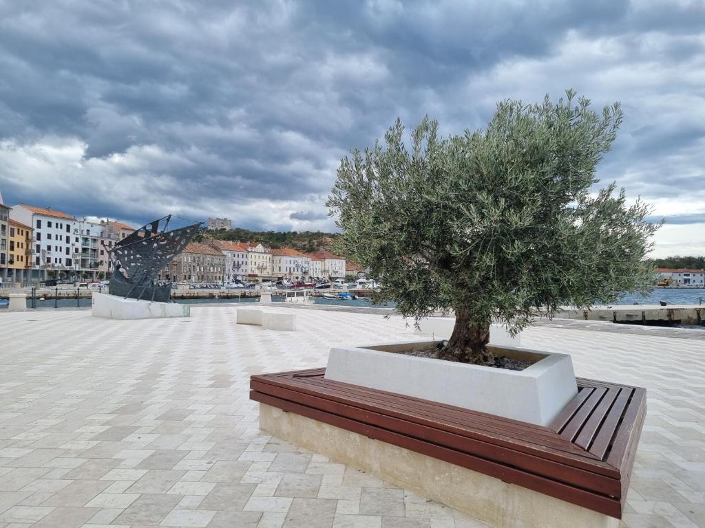 Príroda v okolí apartmánu