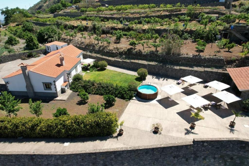 A garden outside Casa Lucas