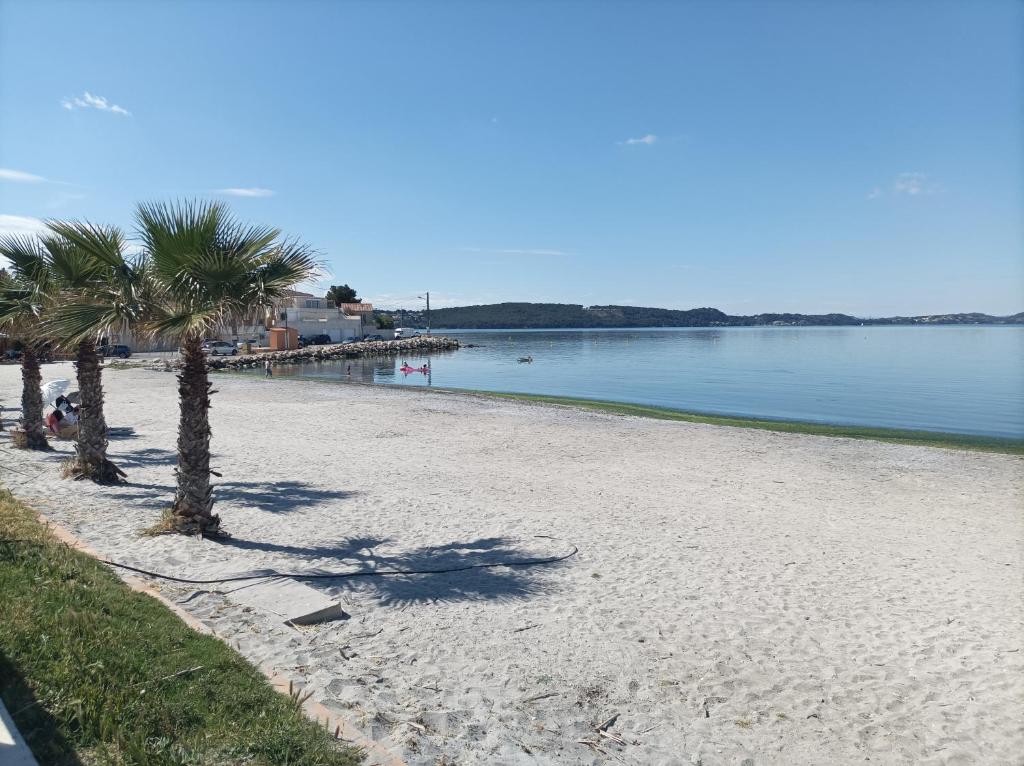a beach with palm trees next to a body of water at Appart 30 m2 cosy 2 personnes 1 grande chambre en mezzanine in Saint-Mitre-les-Remparts