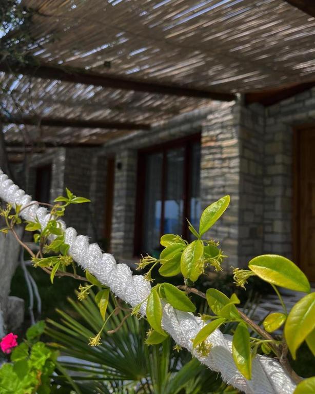 Palermiti Luxury Rooms - Image 10