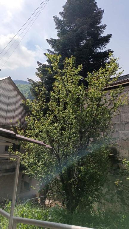 Příroda nedaleko penzionu