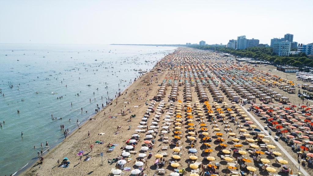 Plaża w apartamencie lub w pobliżu