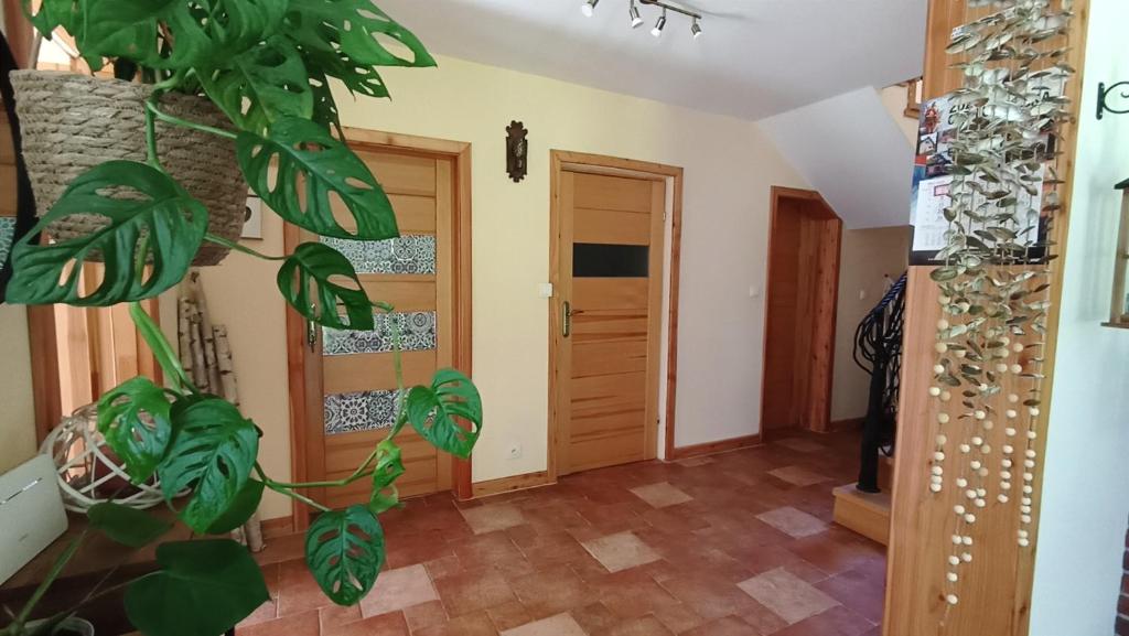 a room with a plant in front of a door at Zacisze Drwala in Lutowiska