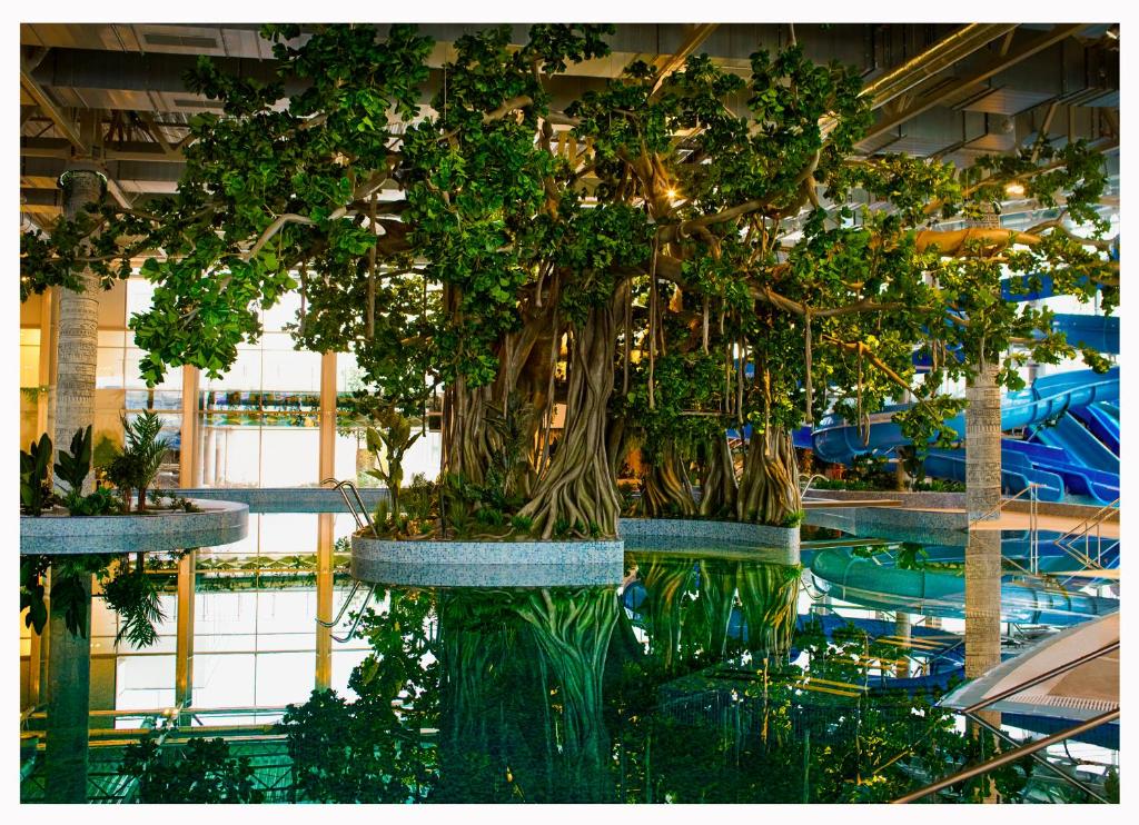 Amazonia Hotel - Resim 14