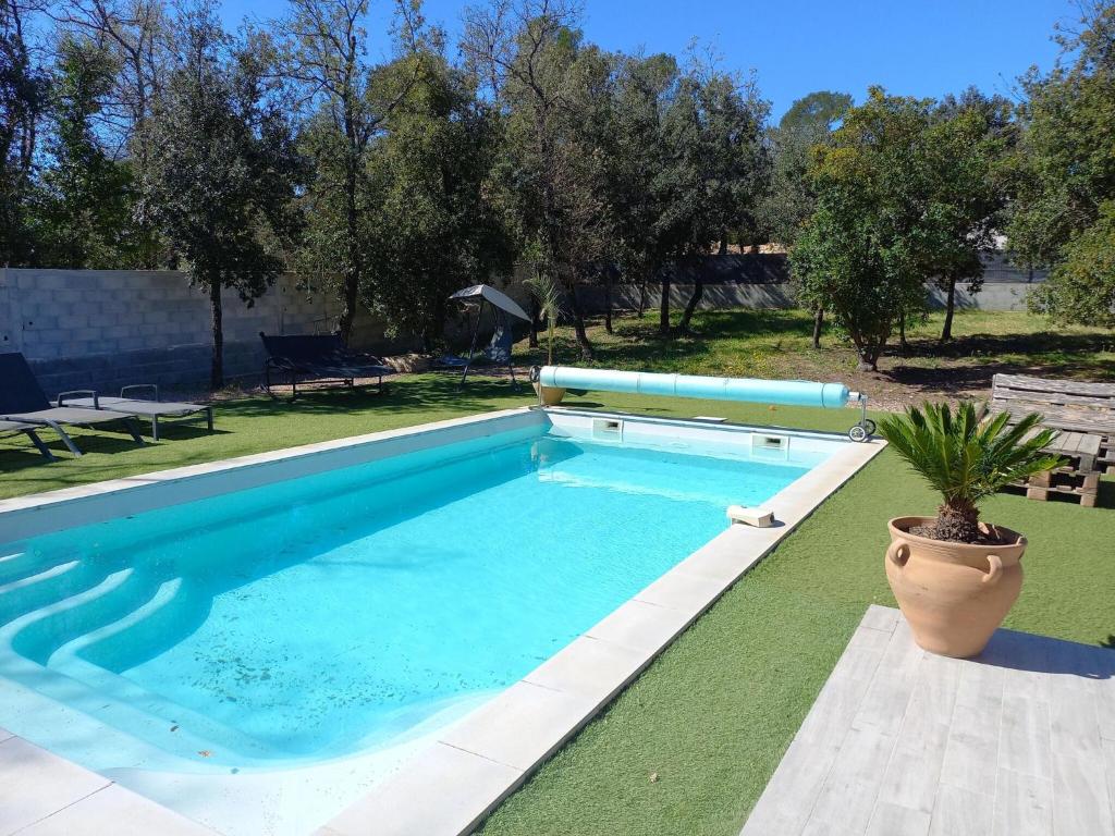 - une piscine avec une plante en pot dans une cour dans l'établissement Villa in Rocbaron with Private Pool, à Rocbaron