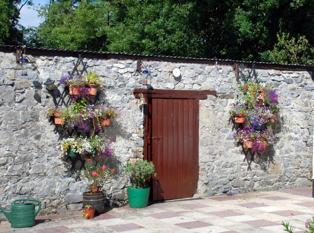Zahrada ubytování Desart School Garden Chalet