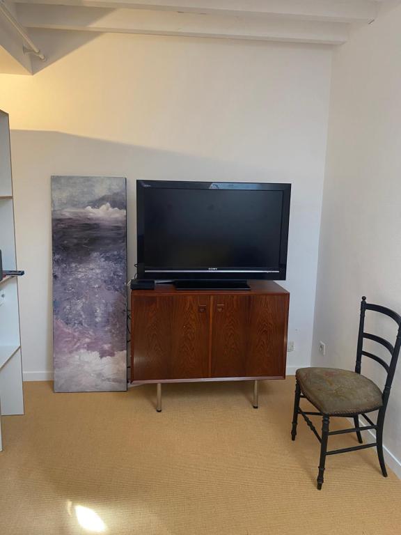 Televízia a/alebo spoločenská miestnosť v ubytovaní Loft/jardin et parking : Le Petit Clos Bourdet