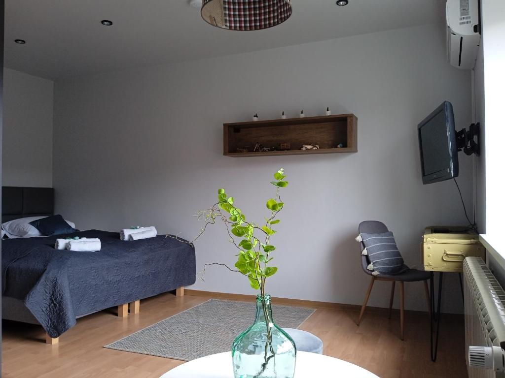Fotografie z fotogalerie ubytování Apartamenty Wiejska 126 v destinaci Sosnovec