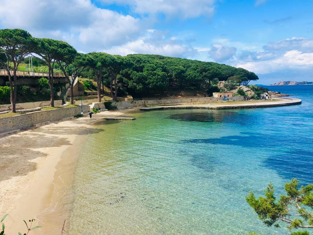 a beach next to the water with trees in the background w obiekcie Blumarine w mieście Palau