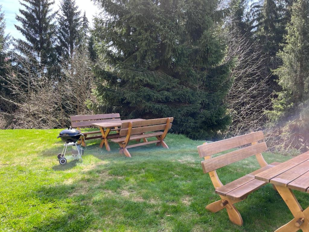 Vonkajšia záhrada v ubytovaní Apartmány Josefáč se saunou
