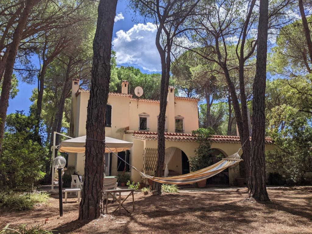 dom z hamakiem na drzewach w obiekcie Villetta in stile mediterraneo w mieście Fort Village