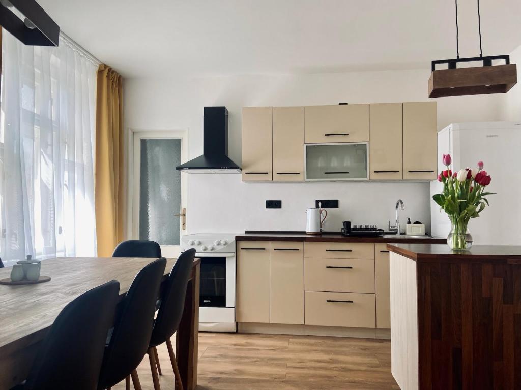 Kuchyň nebo kuchyňský kout v ubytování Apartmán Teplice nad Metují