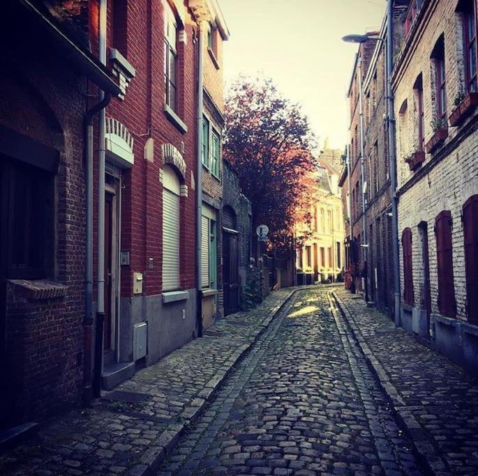 une rue pavée vide dans une ruelle avec des bâtiments dans l'établissement maison vieux Lille, à Lille