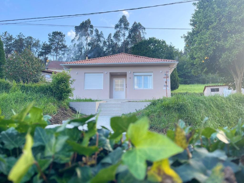 una pequeña casa en un patio con una planta en CASA DE NUNA, en Cabana de Bergantiños