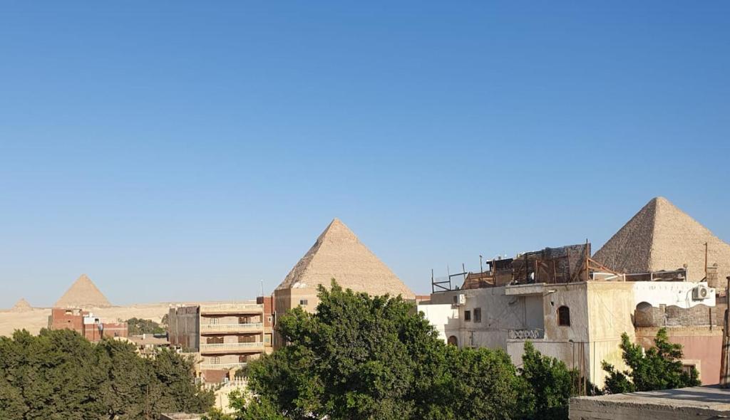 開羅的住宿－Andy Guest House，享有吉萨金字塔的树木和建筑景色