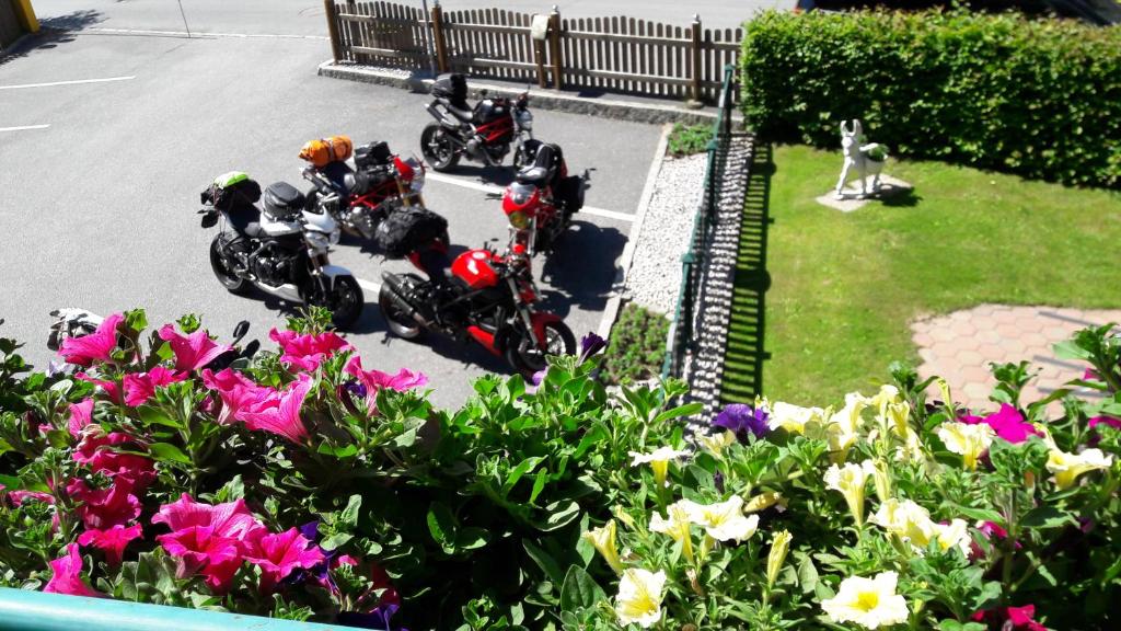 Hosté ubytování Pension Alpenrose
