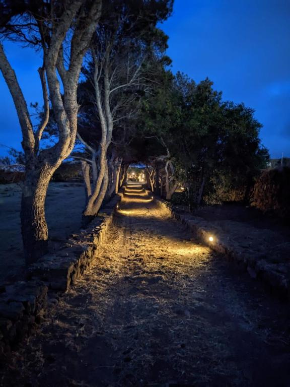 Fotografie z fotogalerie ubytování Dammuso i Pini di Kaddiuggia (CIR19081014C224053) & Dammuso di Mena (CIR 19081014C224052 v destinaci Pantelleria