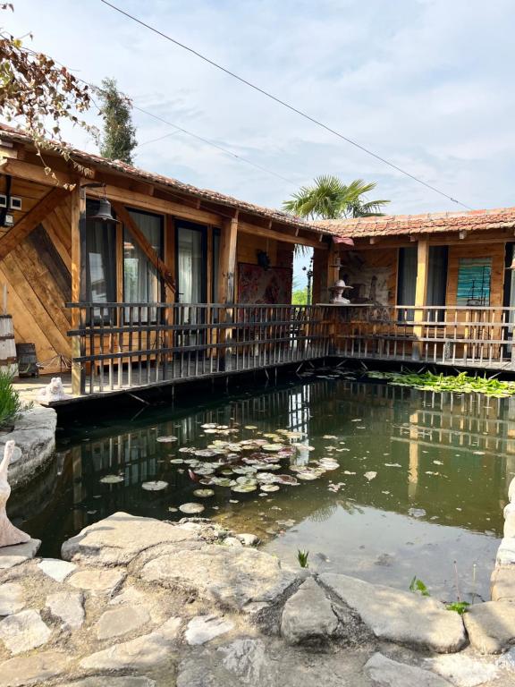 ein Haus mit einem Teich davor in der Unterkunft Artist's Cellar in Telawi