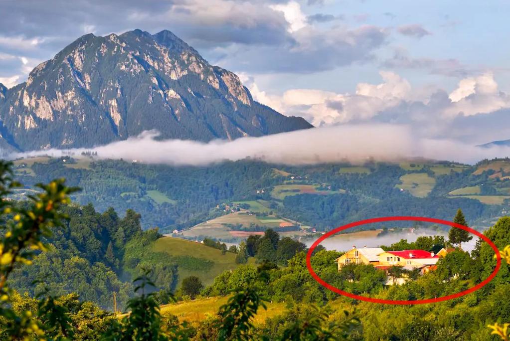 Naturlandskabet i nærheden af feriehuset