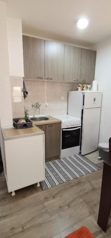 Kuchyň nebo kuchyňský kout v ubytování Apartman MAŠA