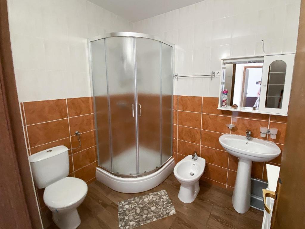 uma casa de banho com um chuveiro, um WC e um lavatório. em VILLA MARE em Supetar