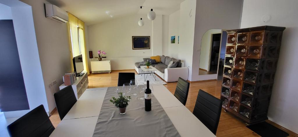 Televízia a/alebo spoločenská miestnosť v ubytovaní Apartment Petra Pekica