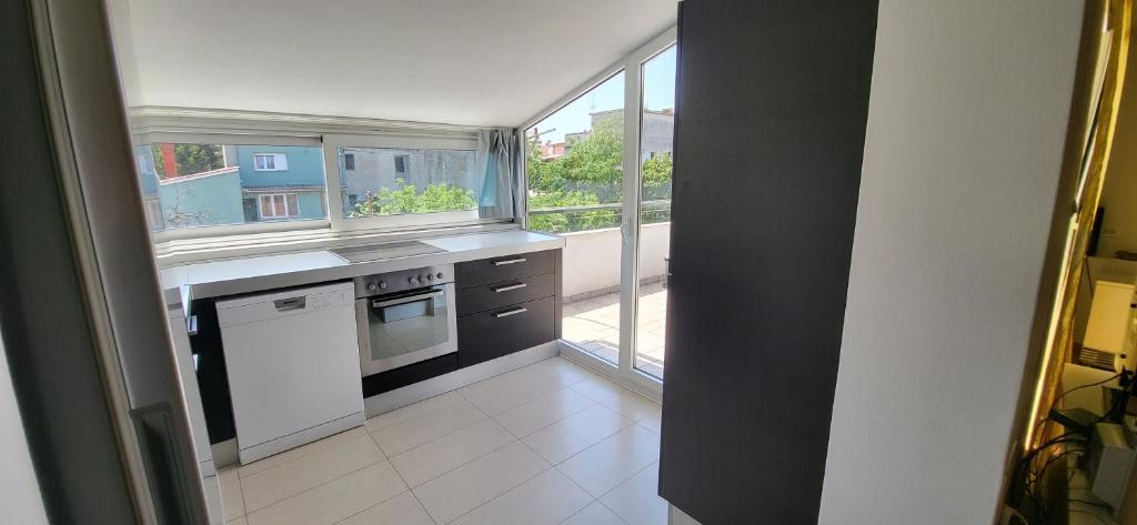 Kuchyňa alebo kuchynka v ubytovaní Apartment Petra Pekica