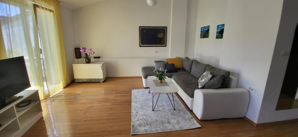 Televízia a/alebo spoločenská miestnosť v ubytovaní Apartment Petra Pekica