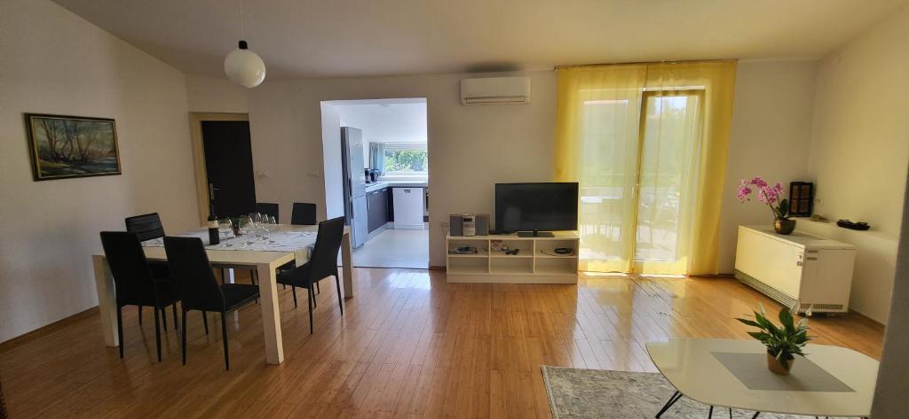 Televízia a/alebo spoločenská miestnosť v ubytovaní Apartment Petra Pekica