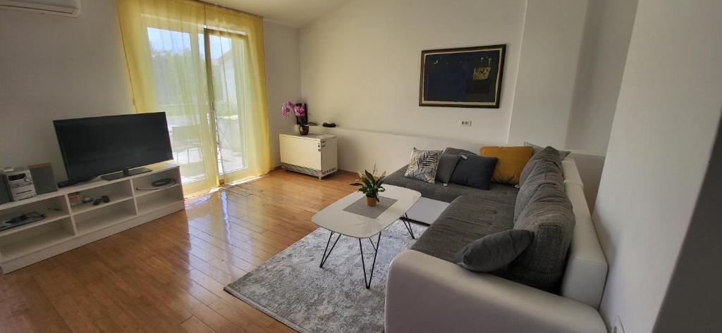 Televízia a/alebo spoločenská miestnosť v ubytovaní Apartment Petra Pekica