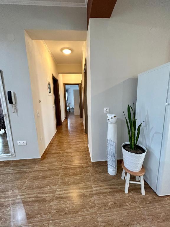 Zdjęcie z galerii obiektu My Bright House w Áfitos