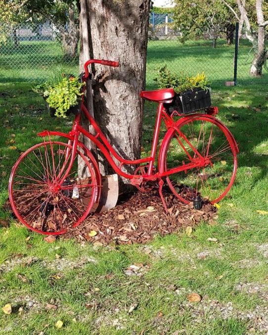 Attività di ciclismo presso l'affittacamere o nelle vicinanze