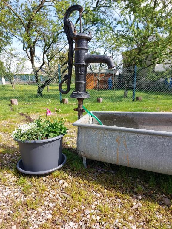 Giardino di Gite Au pommier fleuri et son "Appart" indépendant
