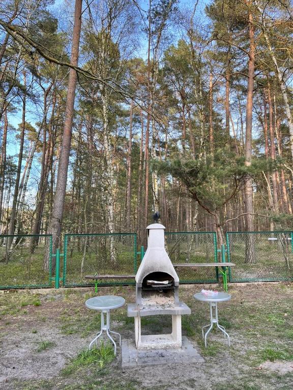 Zahrada ubytování Apartament Blue Mare Pod Wiewiórką