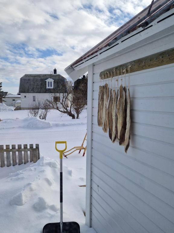 Fotografie z fotogalerie ubytování Roligheten Lodge in Andenes v destinaci Andenes