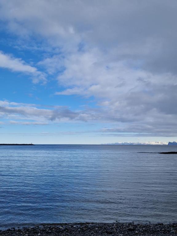 Fotografie z fotogalerie ubytování Roligheten Lodge in Andenes v destinaci Andenes