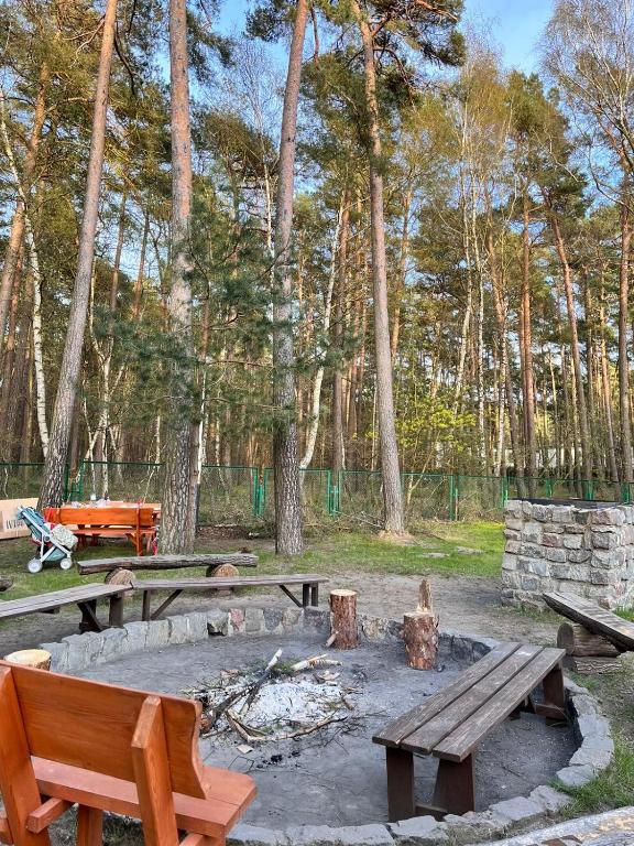 Příroda nedaleko apartmánu