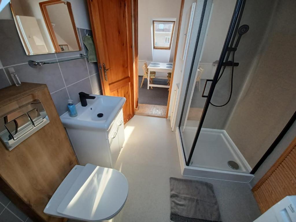 Kúpeľňa v ubytovaní Apartament na poddaszu