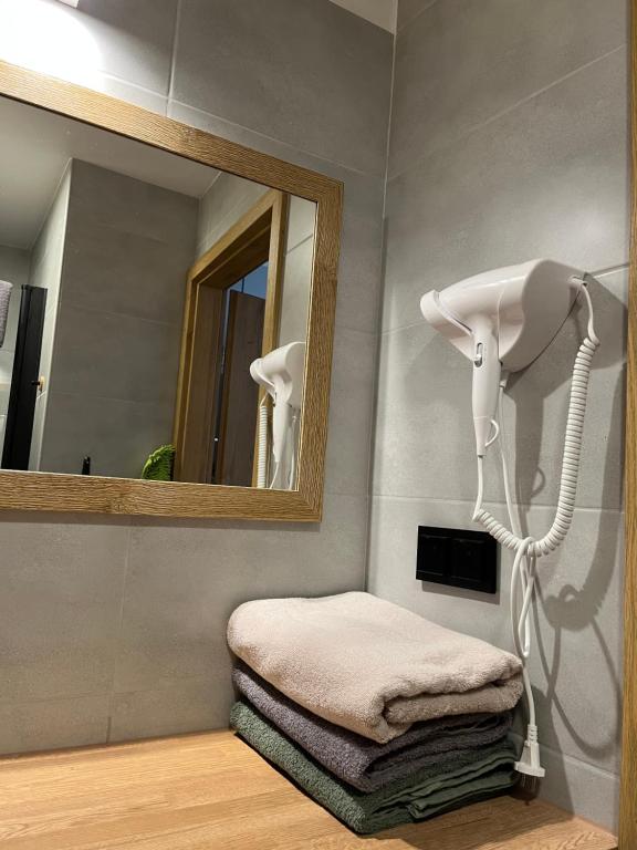 Apartament Zamkowy Stare Miasto - 18