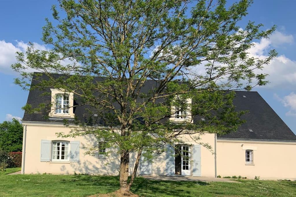 un albero di fronte a una casa bianca di Maison familiale entre Beauval & Chambord a Pruniers