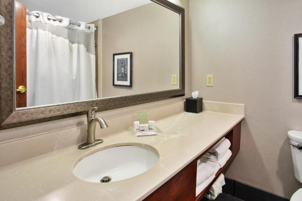 Holiday Inn University Plaza-Bowling Green, an IHG Hotel - 豪华王室，可访问式浴缸 - 不吸烟