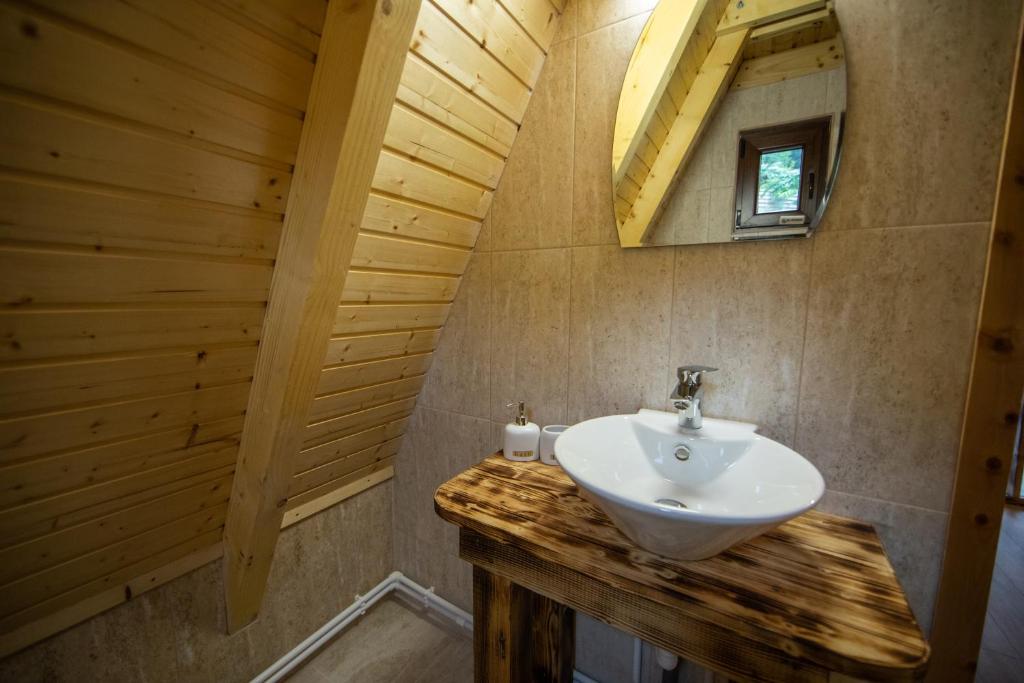 a bathroom with a sink and a mirror at Catunul din Podei A-Frame in Dragoslavele