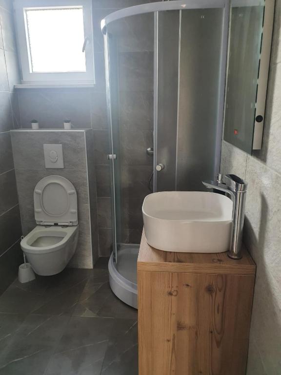 Kúpeľňa v ubytovaní Odlično opremljeni novouređeni apartmani Iva, Okrug Gornji