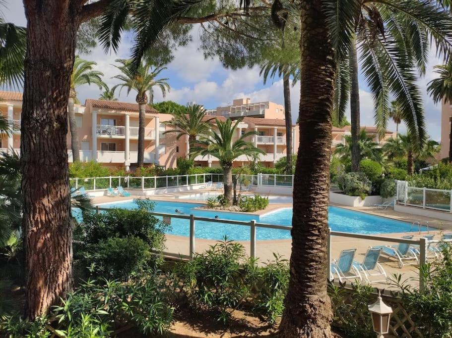 ein Pool mit Palmen und ein Resort in der Unterkunft Appartement cosy vue mer, 5min à pied de la plage, parking in Vallauris