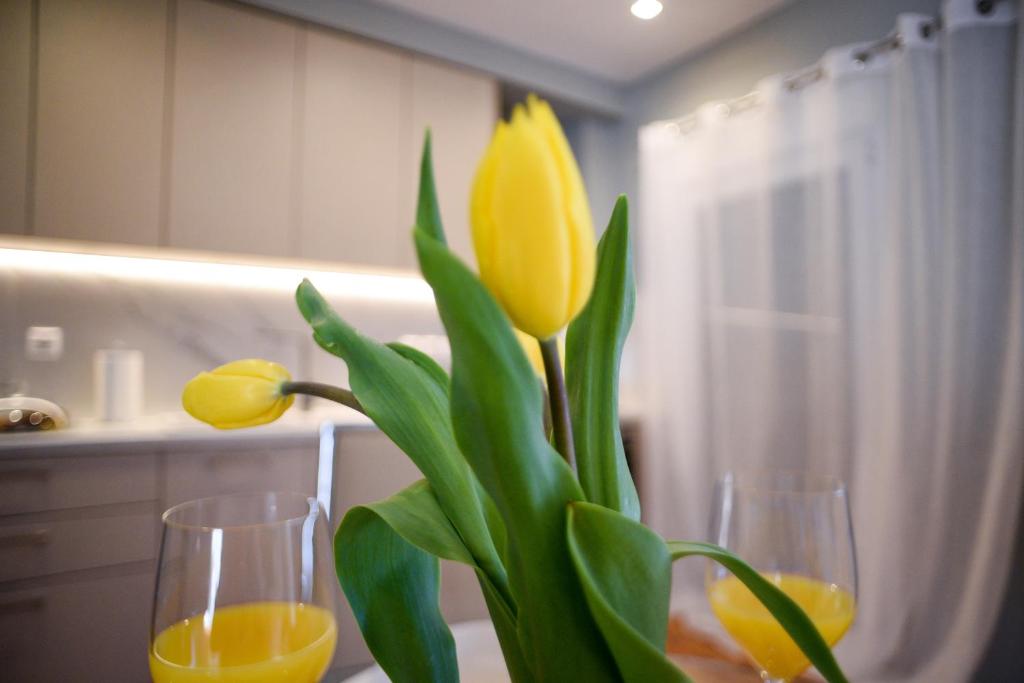 Fotografie z fotogalerie ubytování Memories Apartment v destinaci Ioannina