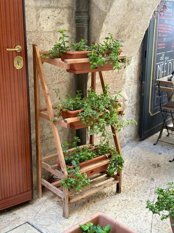 ARCO MERAVIGLIA HOUSE - 11