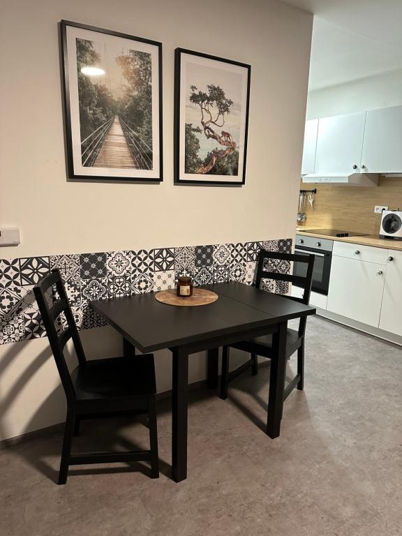 Kuchyň nebo kuchyňský kout v ubytování Apartmán MANKÝ
