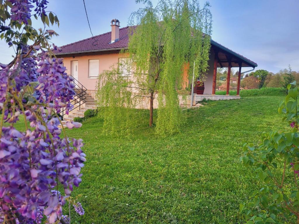 a house with a garden in front of it at Apartman MatiNik in Mionica